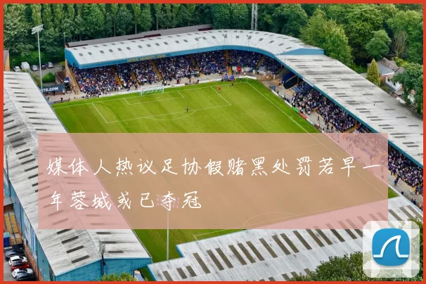 媒体人热议足协假赌黑处罚若早一年蓉城或已夺冠