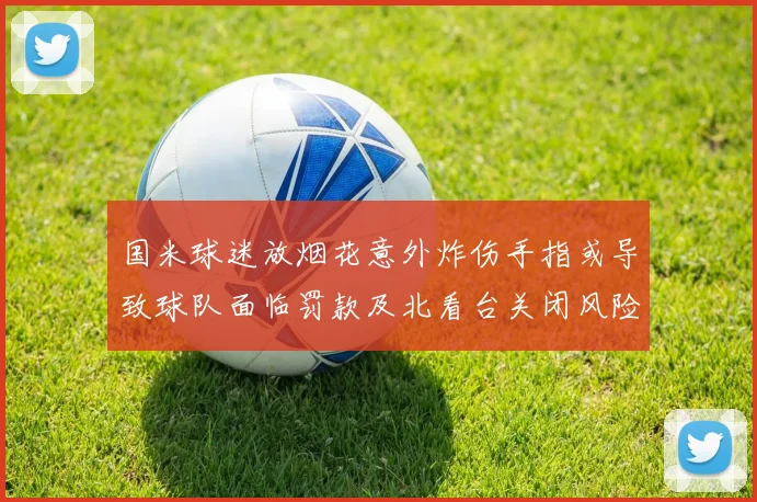 国米球迷放烟花意外炸伤手指或导致球队面临罚款及北看台关闭风险