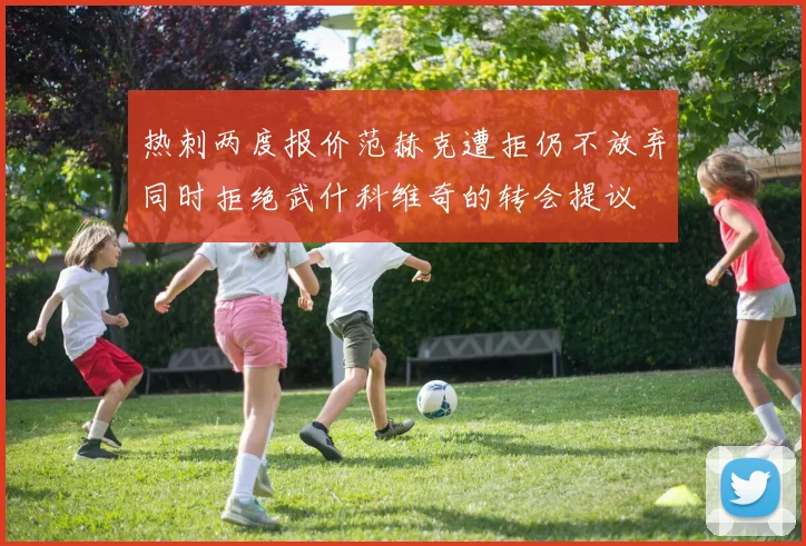 热刺两度报价范赫克遭拒仍不放弃同时拒绝武什科维奇的转会提议