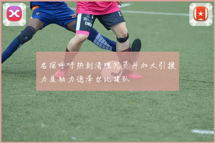 名宿呼吁热刺清理冗员并加大引援力度助力德泽尔比建队